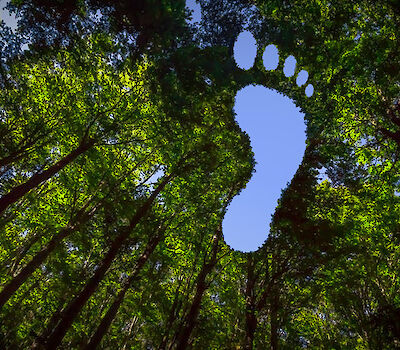 Verzekeraars en VN samen voor een beter klimaat
